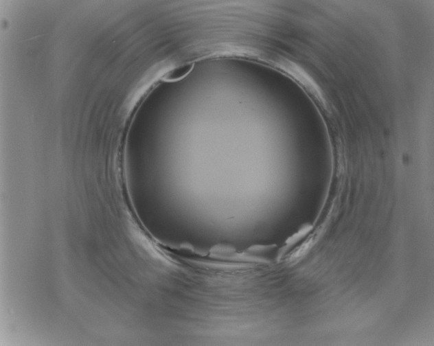 X0000075900806200609221935