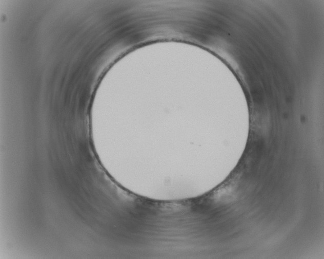 X0000075900807200609221935