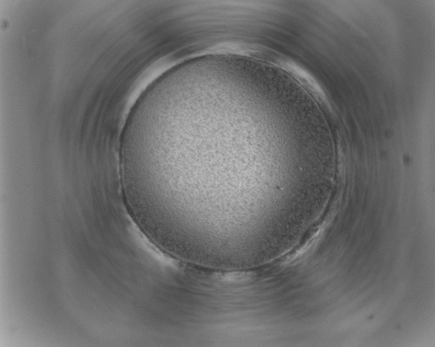 X0000075900808200609221935