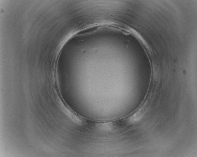 X0000075900810200609221935