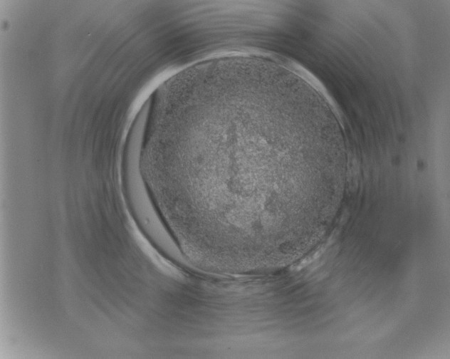 X0000075900811200609221935