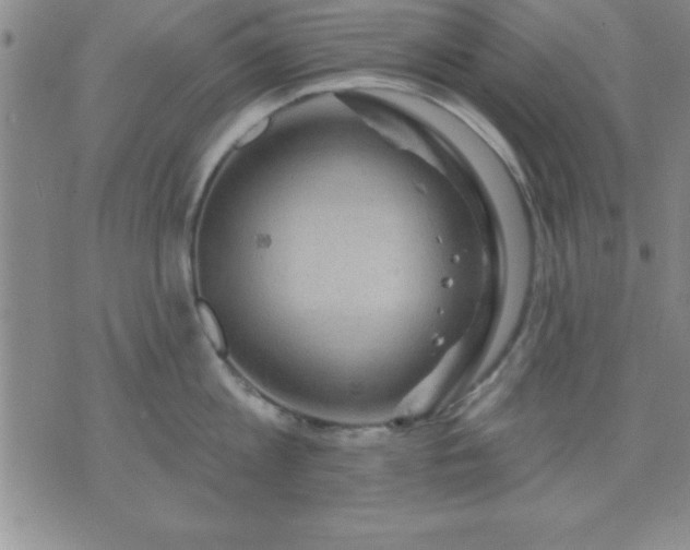 X0000075900813200609221935