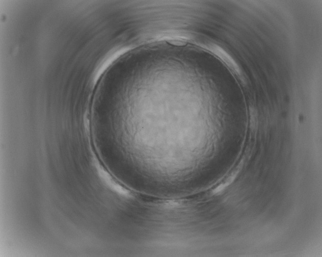 X0000075900814200609221935