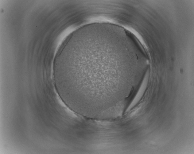 X0000075900815200609221935