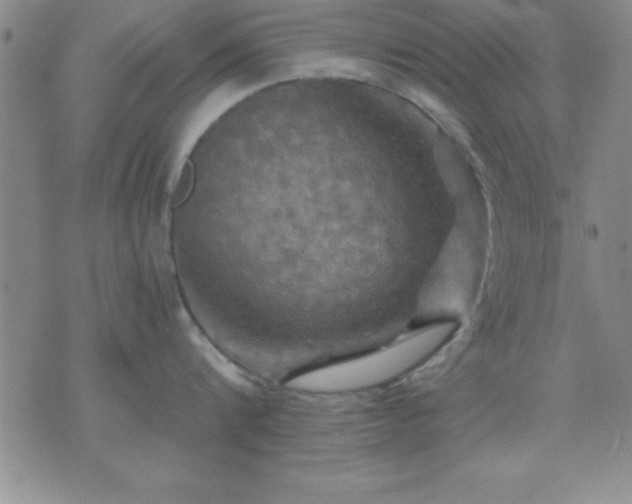 X0000075900816200609221935