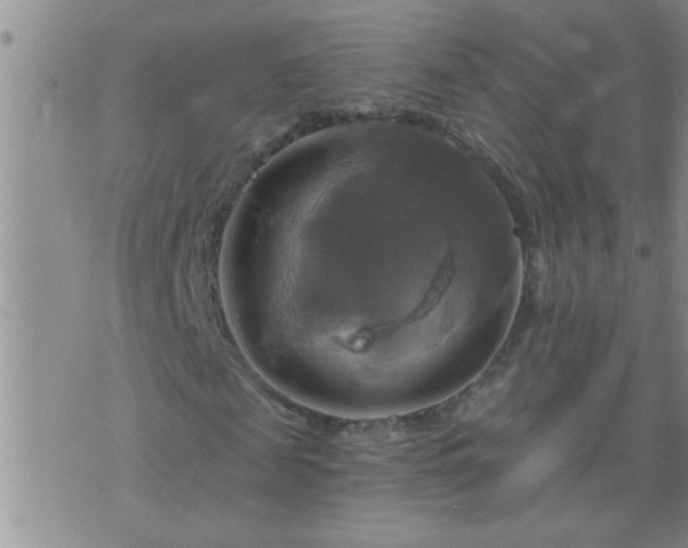 X0000075900817200609221934