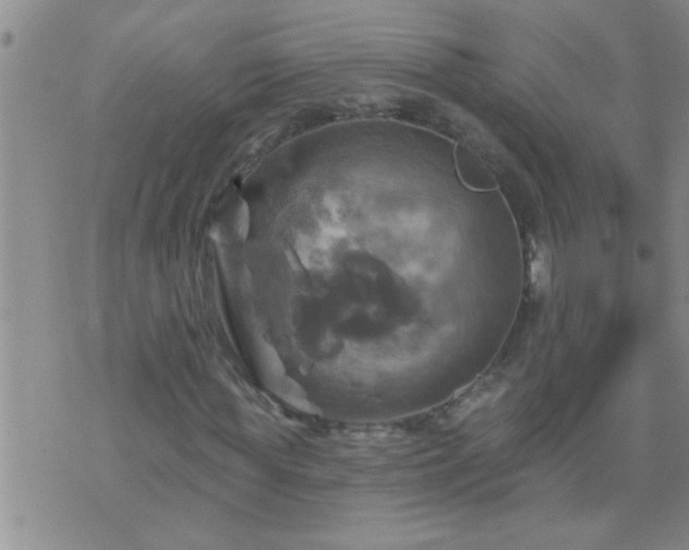 X0000075900819200609221934