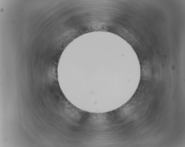 X0000075900820200609221934