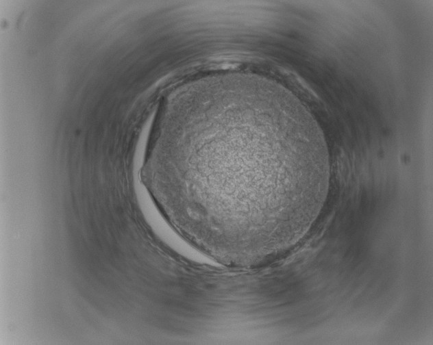 X0000075900821200609221934