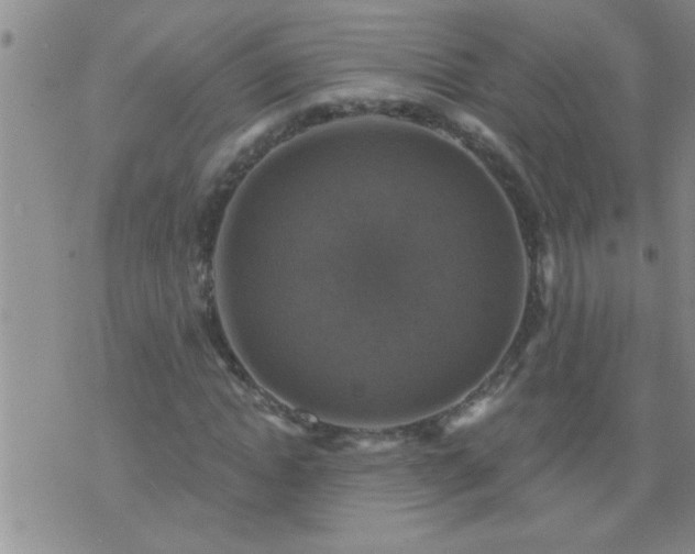 X0000075900822200609221934