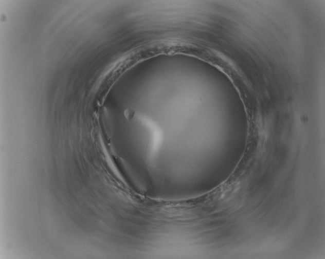 X0000075900823200609221934