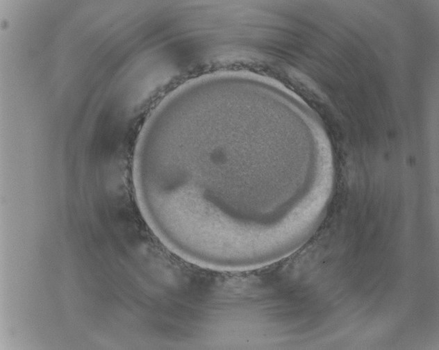 X0000075900824200609221934