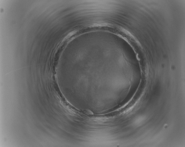 X0000075900825200609221934