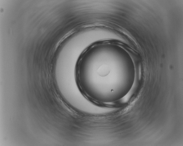 X0000075900826200609221934