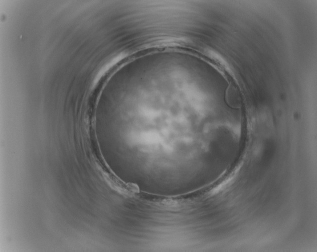 X0000075900827200609221934