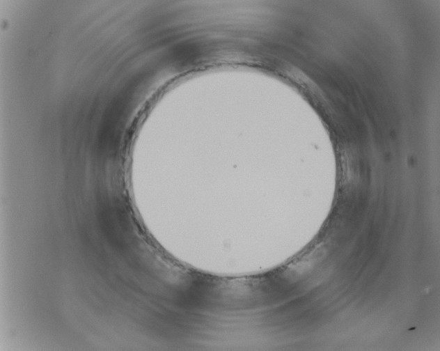 X0000075900828200609221934