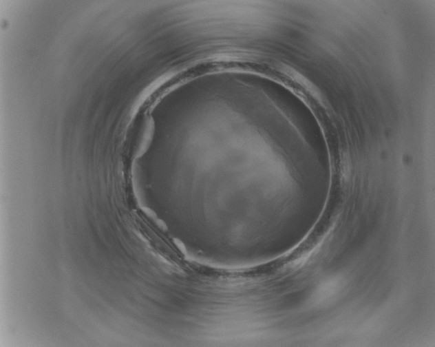 X0000075900829200609221934