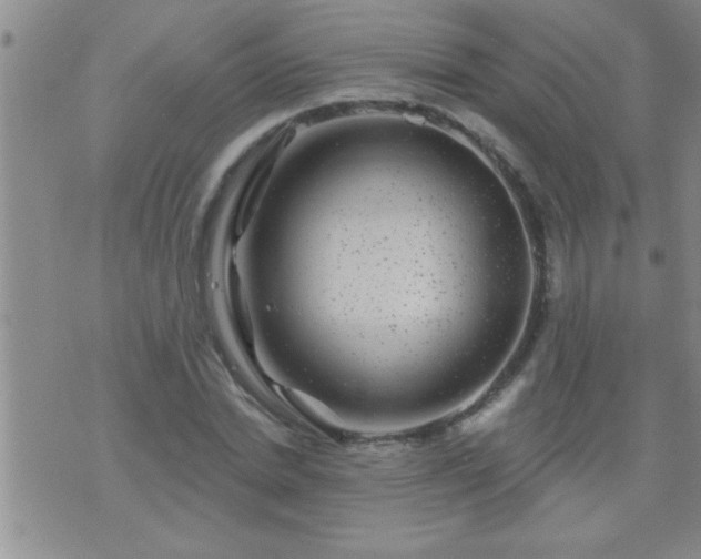 X0000075900830200609221934