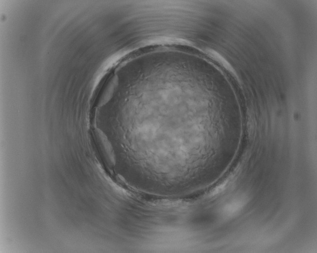 X0000075900831200609221934