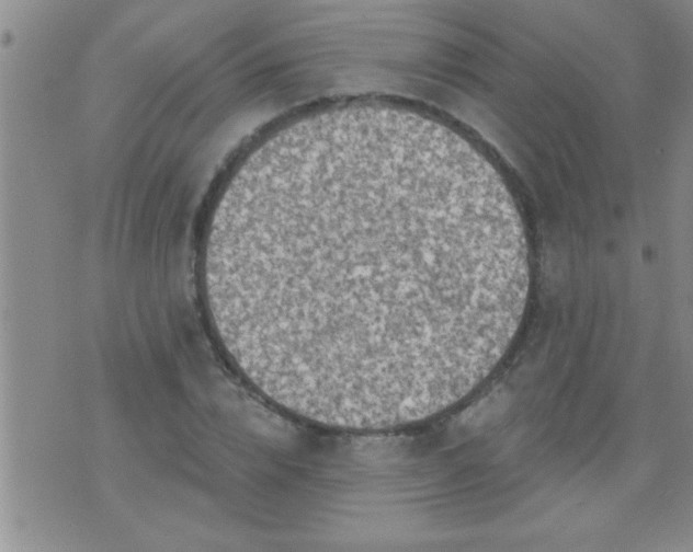 X0000075900832200609221934