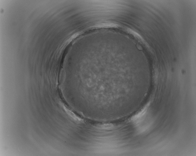 X0000075900833200609221934