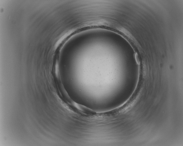 X0000075900834200609221934