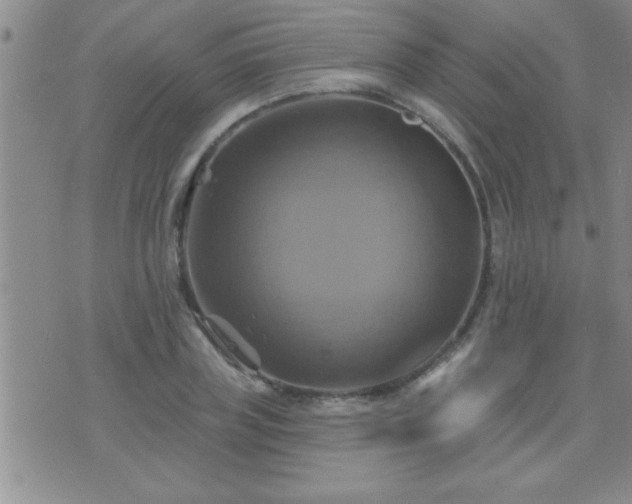 X0000075900835200609221934