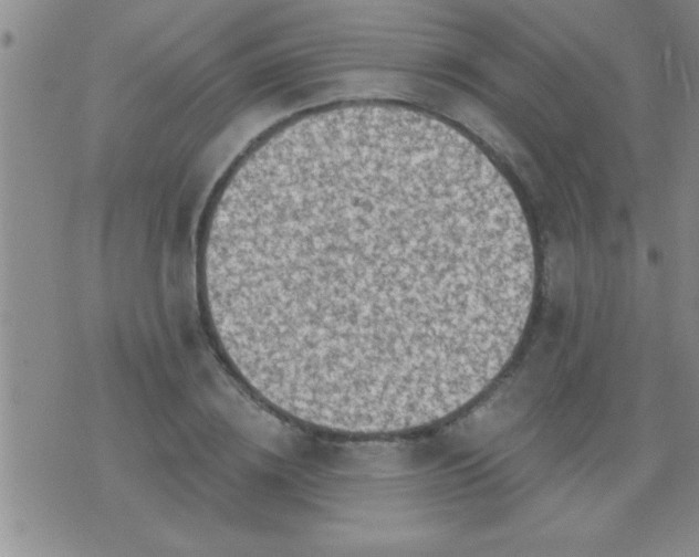 X0000075900836200609221934