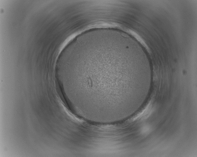 X0000075900837200609221934