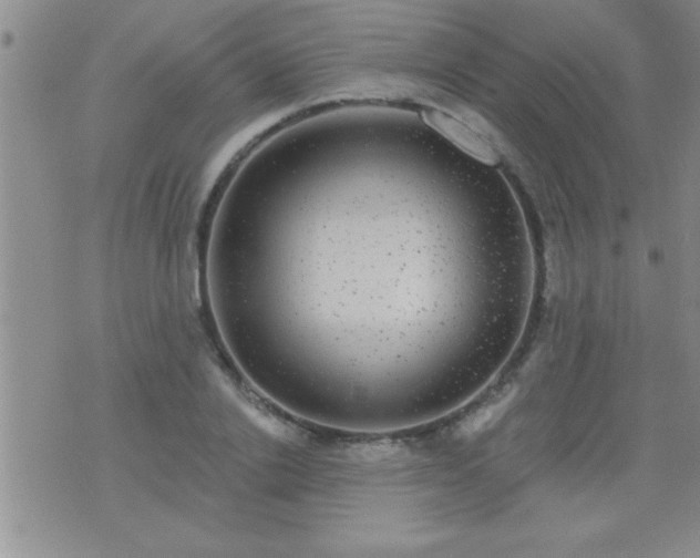 X0000075900838200609221935