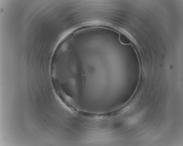 X0000075900839200609221935