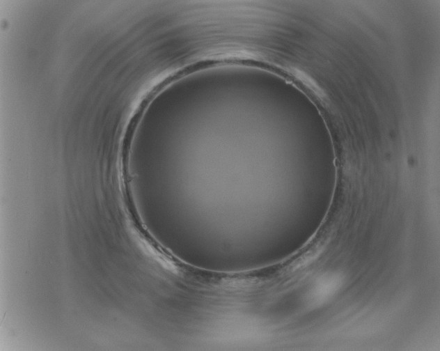 X0000075900840200609221935