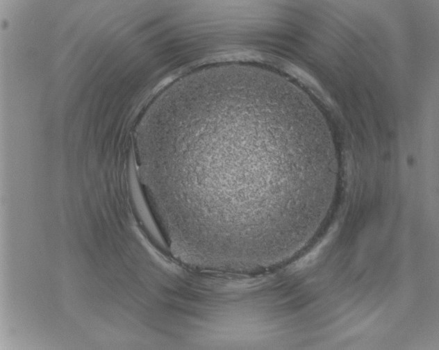 X0000075900841200609221935