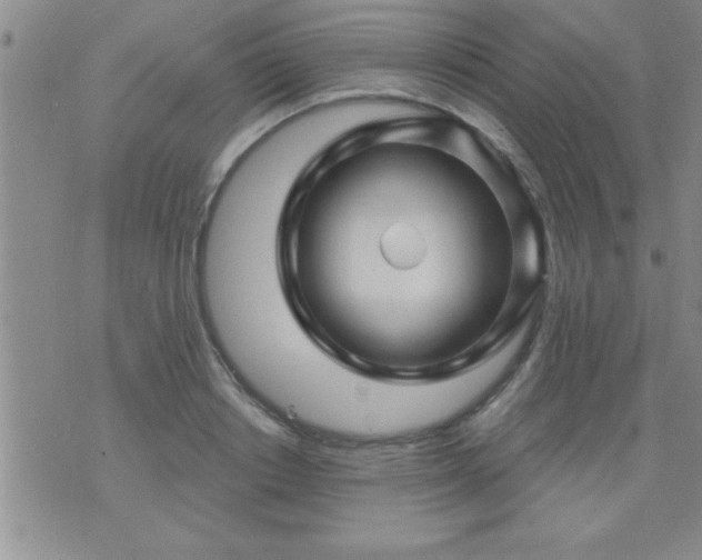 X0000075900842200609221935