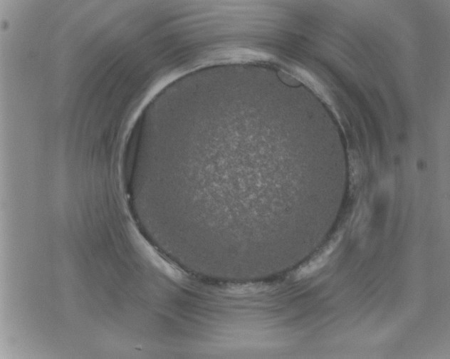 X0000075900843200609221935