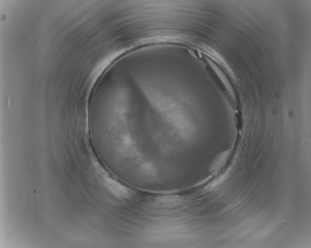 X0000075900844200609221935