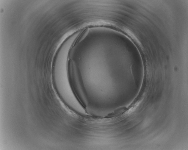 X0000075900845200609221935