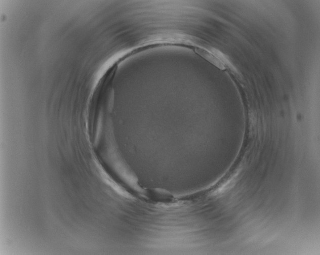 X0000075900846200609221935