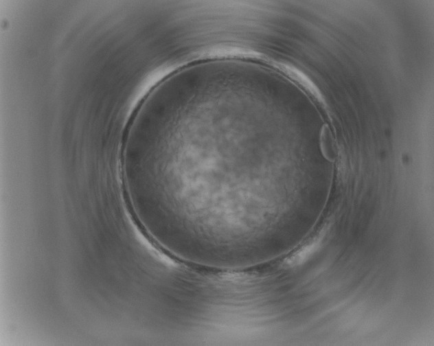 X0000075900847200609221935