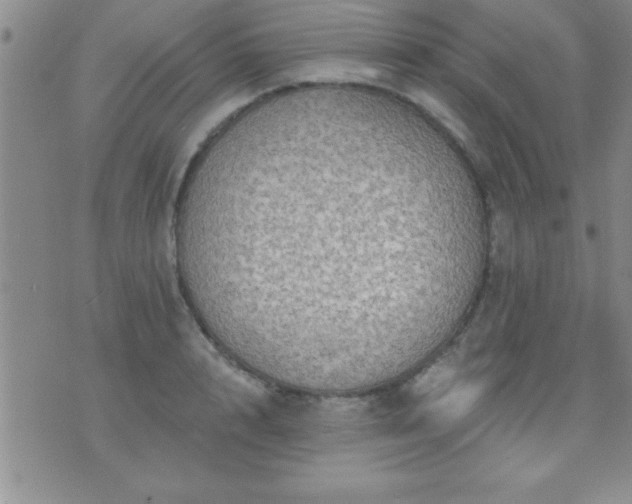 X0000075900848200609221935