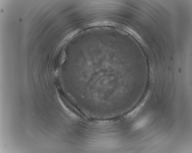 X0000075900849200609221935