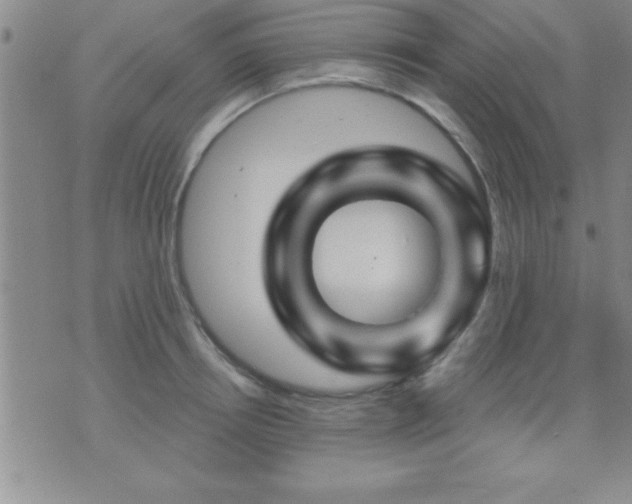 X0000075900850200609221935