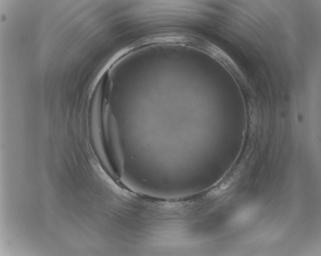 X0000075900852200609221935