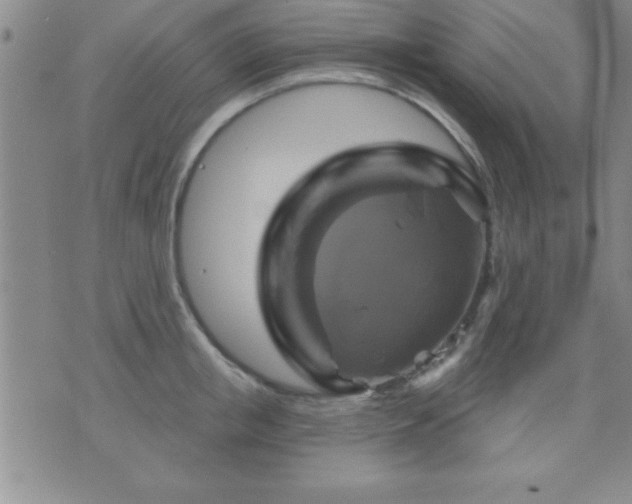 X0000075900853200609221935