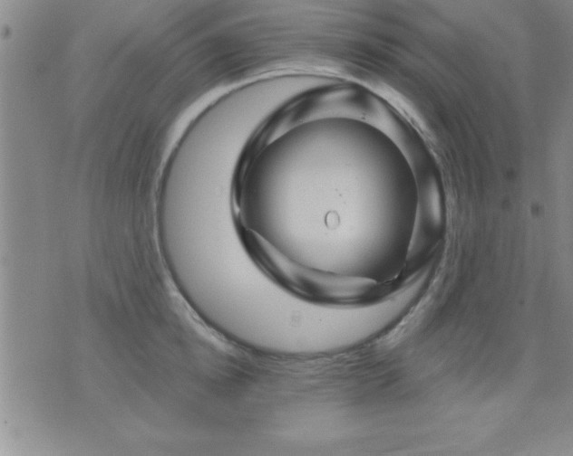 X0000075900854200609221935