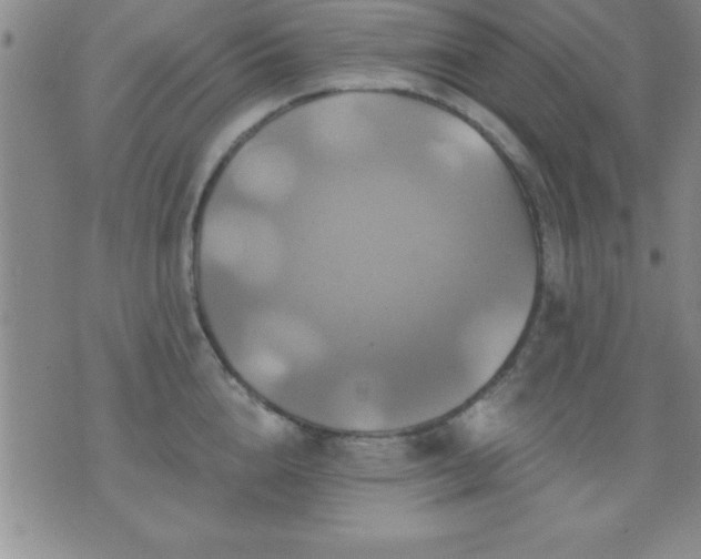 X0000075900856200609221935