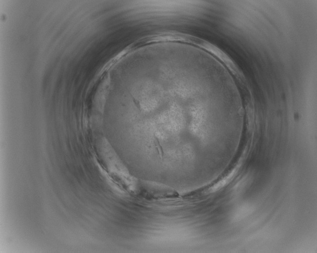 X0000075900857200609221935