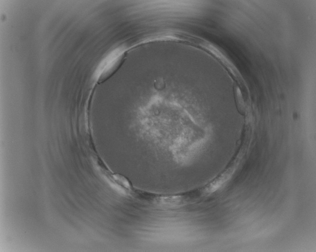 X0000075900858200609221935