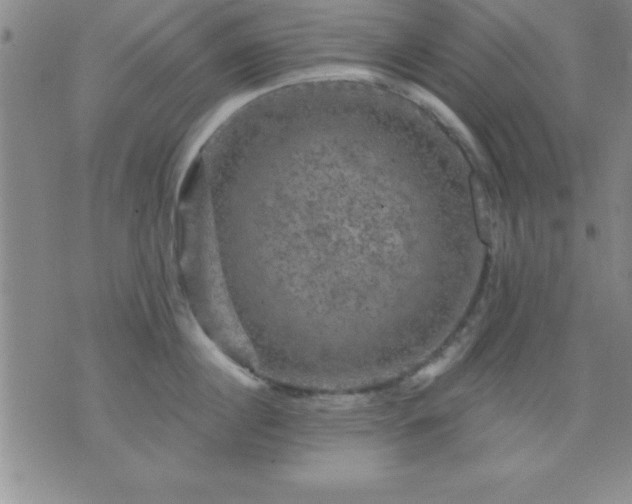 X0000075900860200609221935