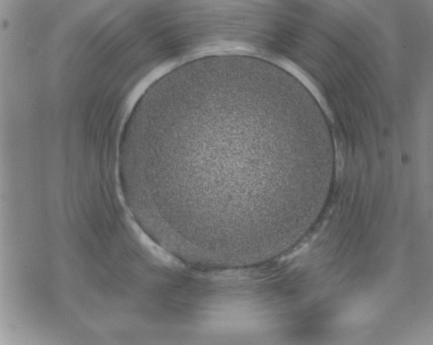 X0000075900861200609221935